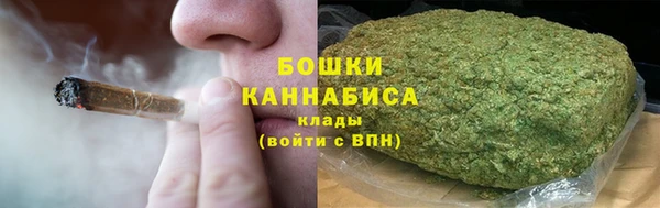 2c-b Заводоуковск