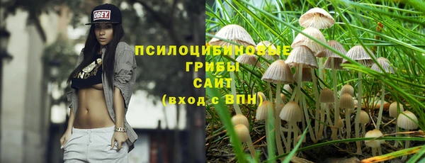 2c-b Заводоуковск
