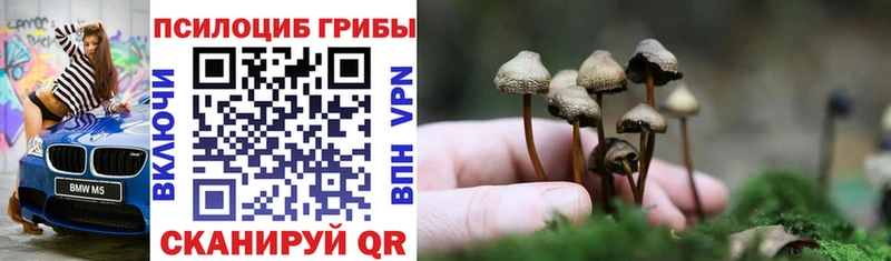 Псилоцибиновые грибы GOLDEN TEACHER блэк спрут зеркало Карабаново
